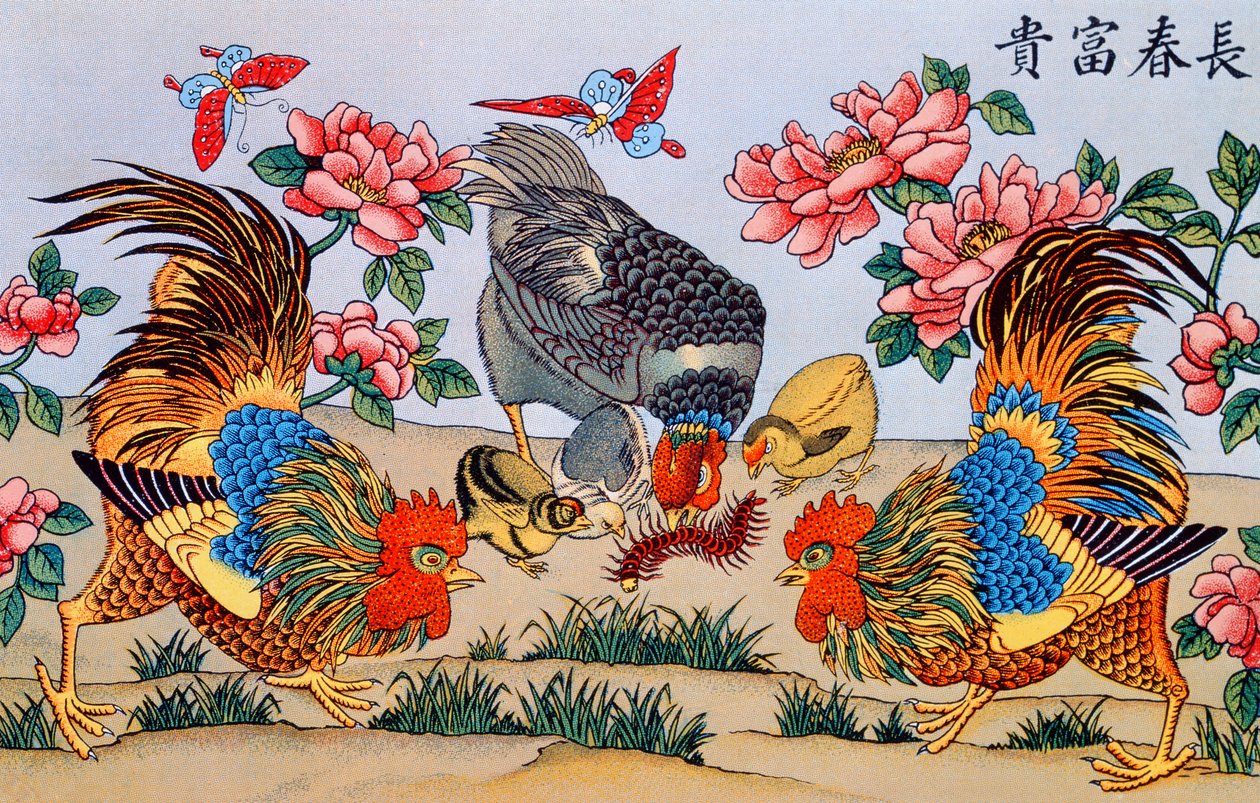 Coq tuant un mille-pattes, illustration de Recherches sur les superstitions en Chine, publiée à Shanghai par Imprimerie de la Mission Catholique, 1929 - Chinese School
