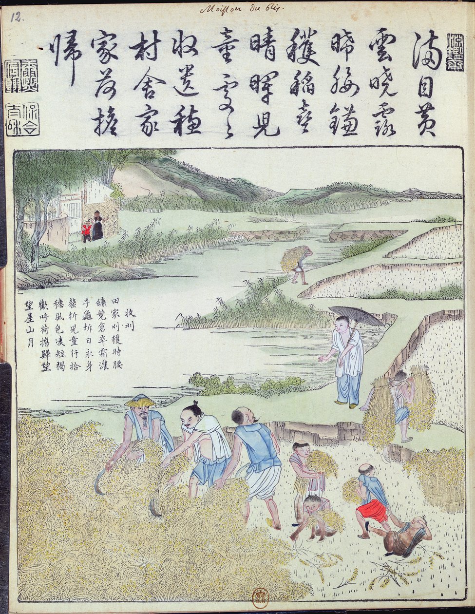 Récolte, La culture du riz en Chine - Chinese School