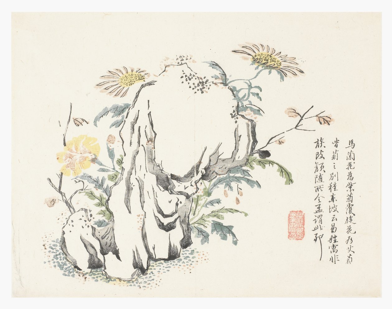 Jardin de graines de moutarde - Chinese School