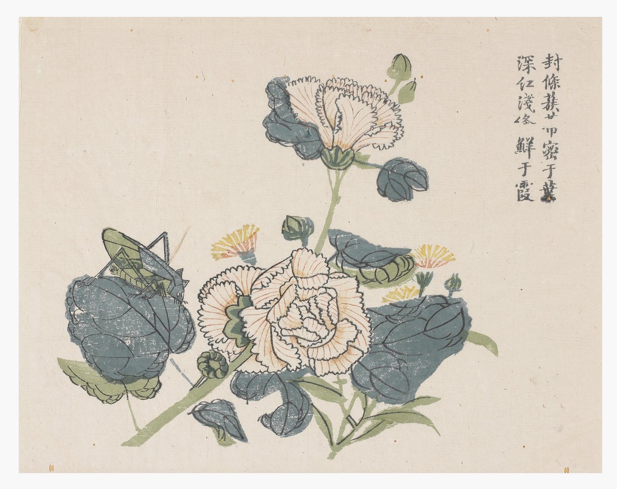 Jardin de graines de moutarde - Chinese School