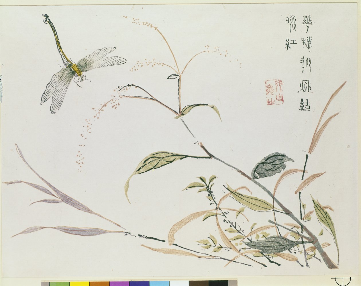 Jardin de graines de moutarde - Chinese School
