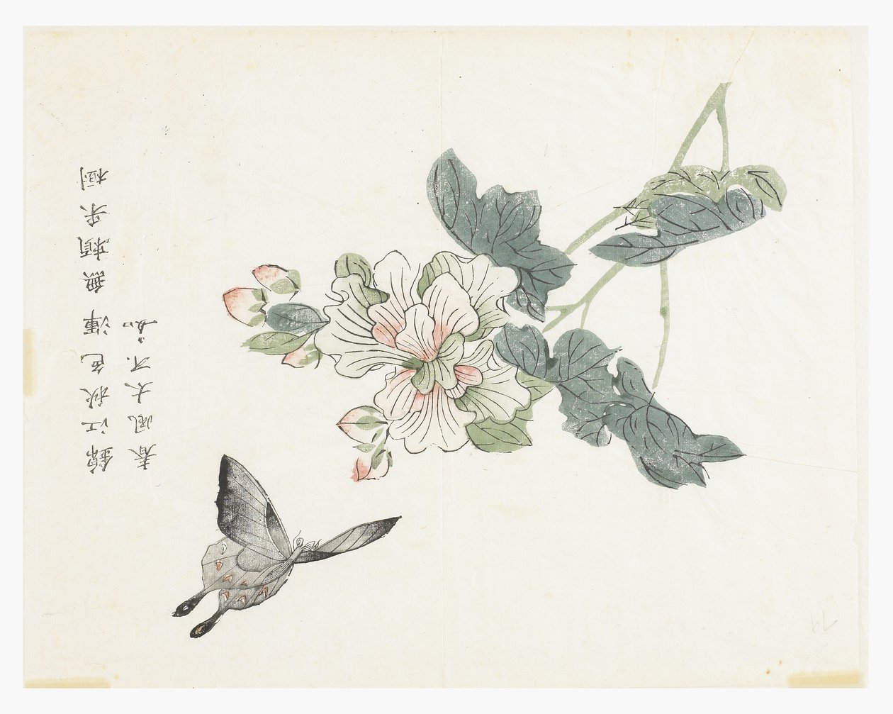 Jardin de graines de moutarde - Chinese School