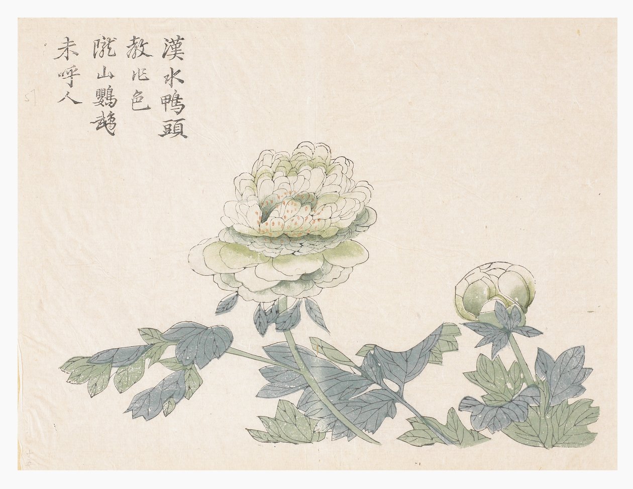 Jardin de la graine de moutarde - Chinese School