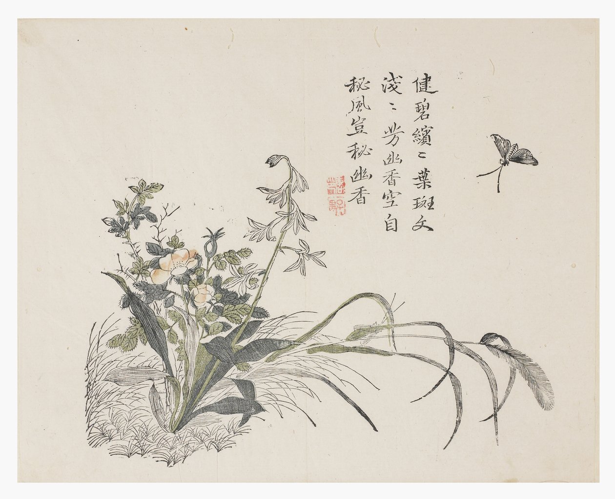 Jardin de graines de moutarde - Chinese School