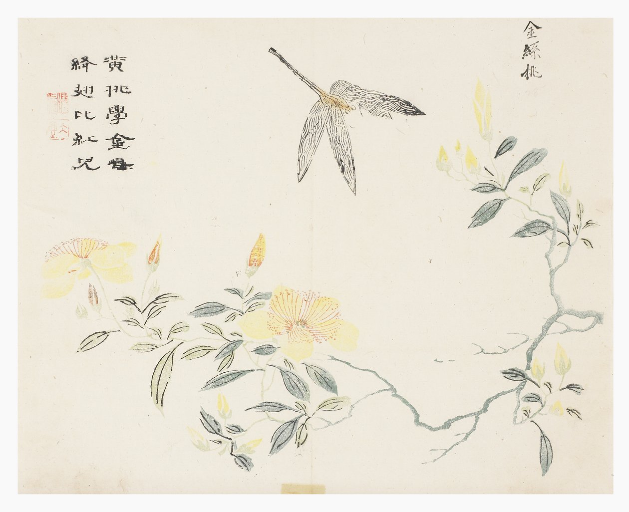 Jardin de la graine de moutarde - Chinese School