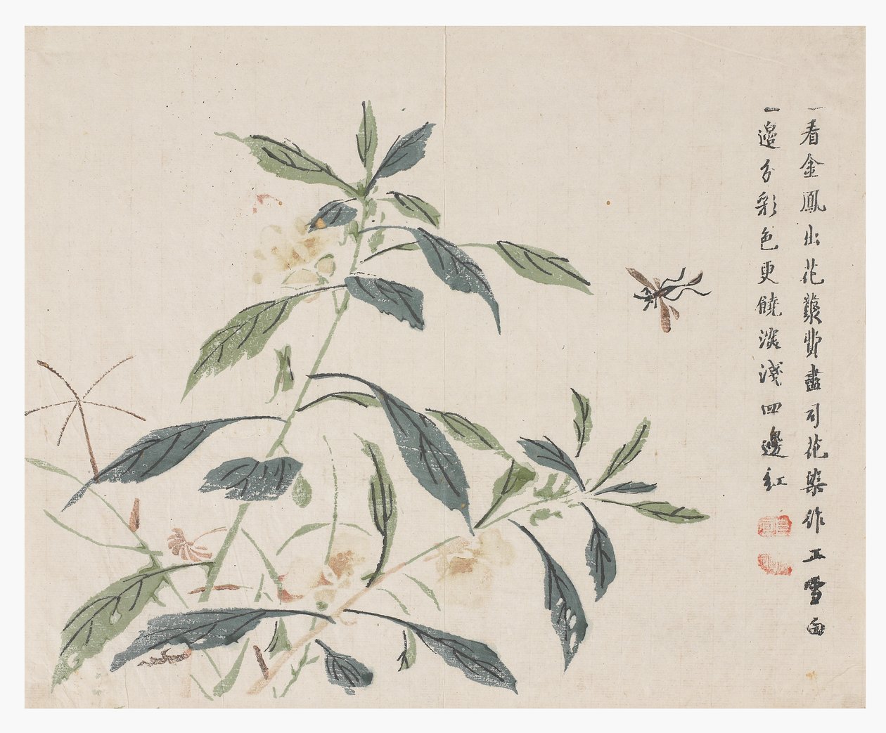 Jardin de la graine de moutarde - Chinese School