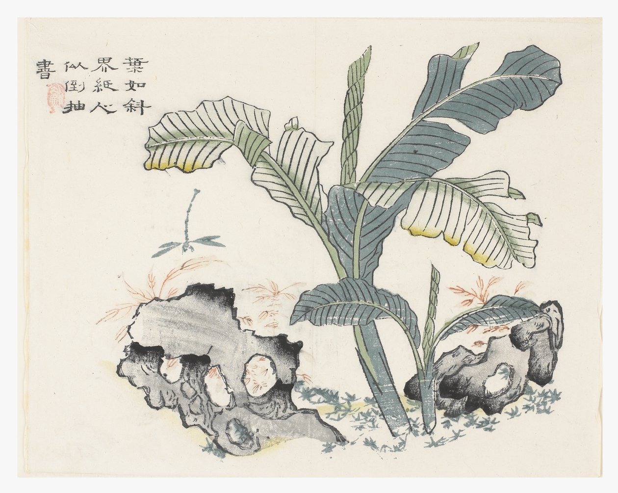 Jardin de graines de moutarde - Chinese School