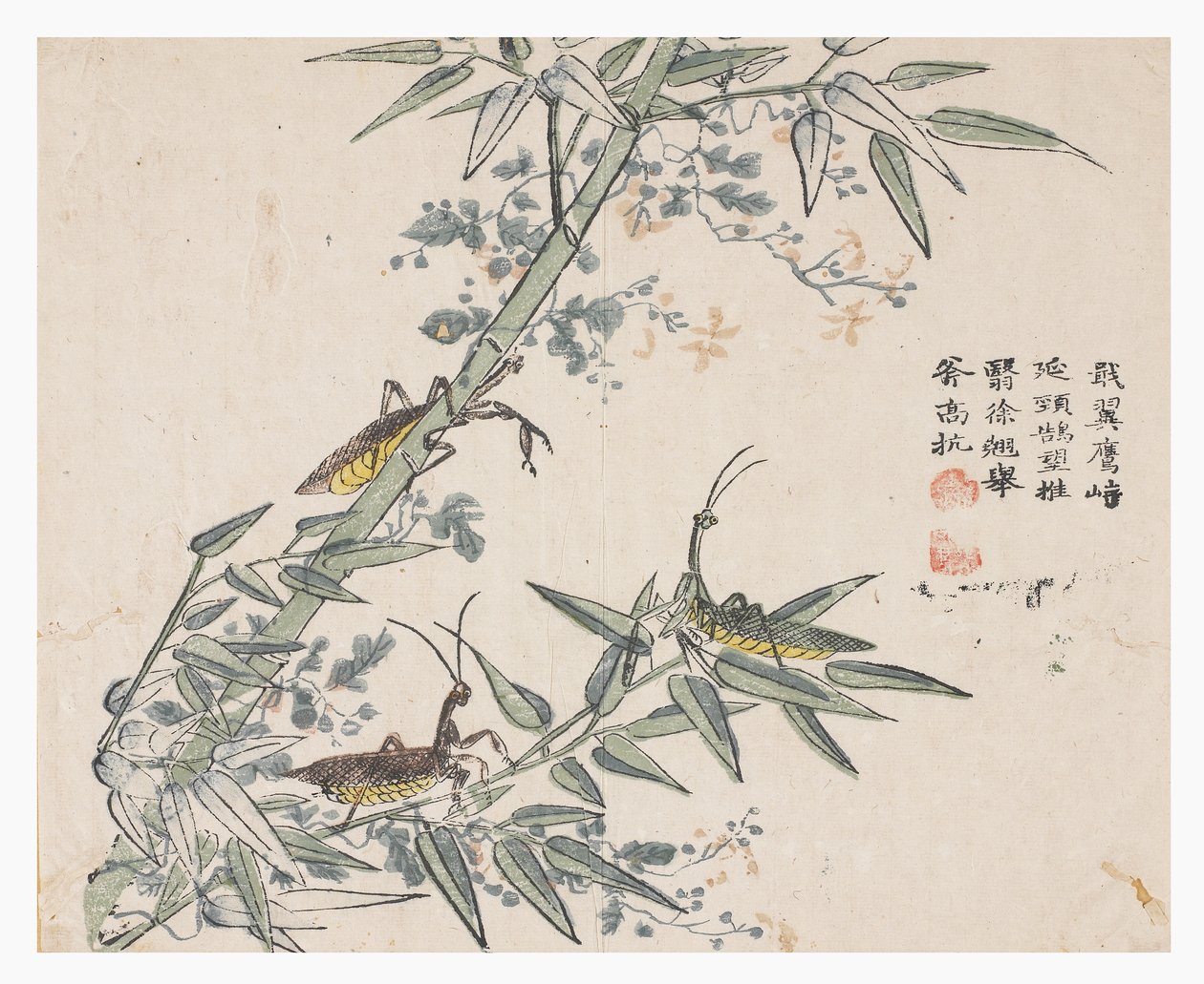 Jardin de graines de moutarde - Chinese School