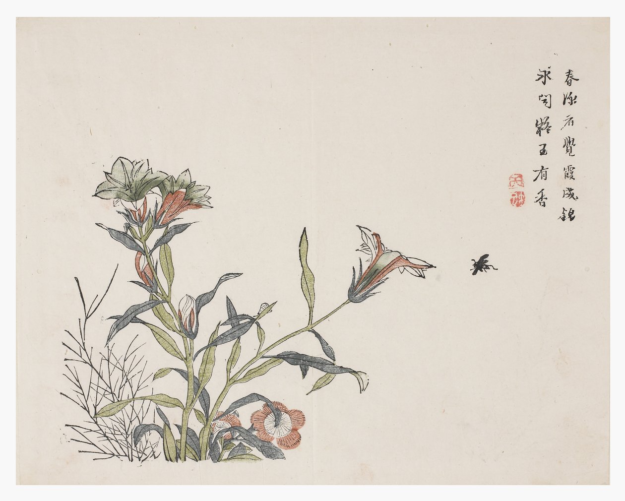 Jardin de graines de moutarde - Chinese School