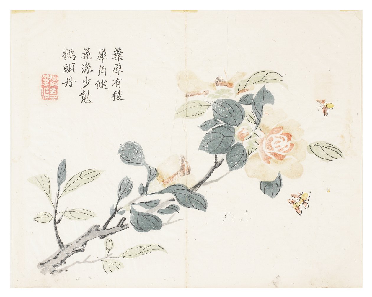 Jardin de la graine de moutarde - Chinese School