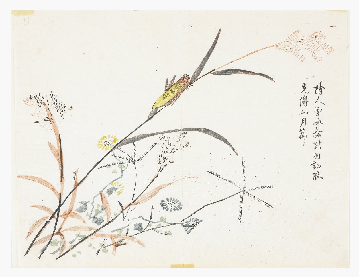 Jardin de la graine de moutarde - Chinese School