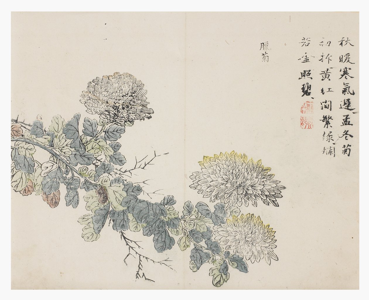 Jardin de la graine de moutarde - Chinese School