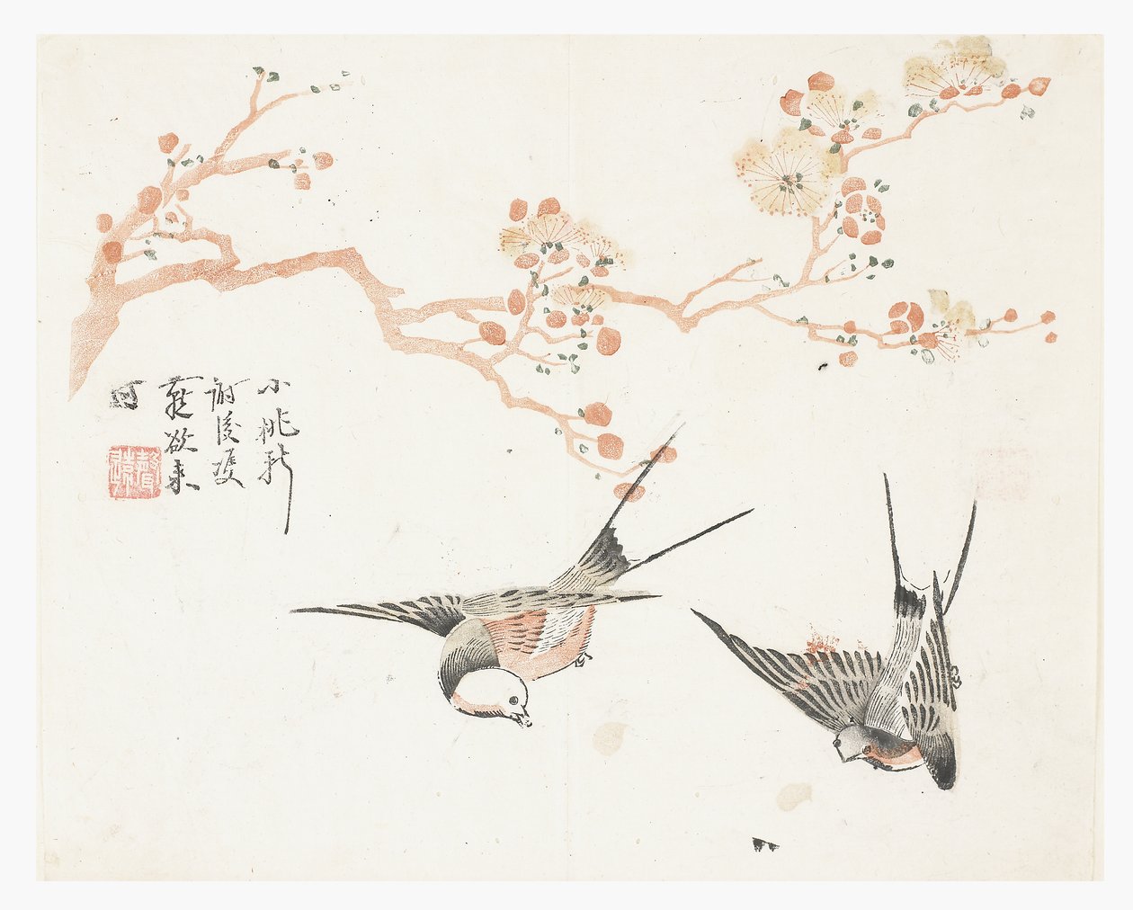 Jardin de la graine de moutarde - Chinese School