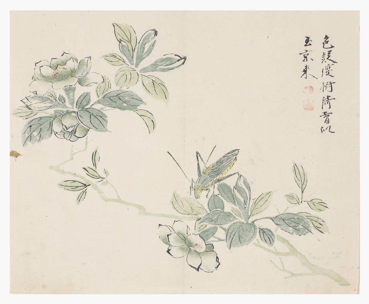 Jardin de la graine de moutarde - Chinese School