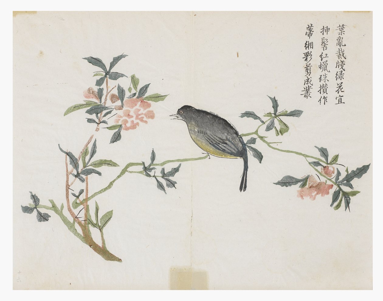 Jardin de graines de moutarde - Chinese School