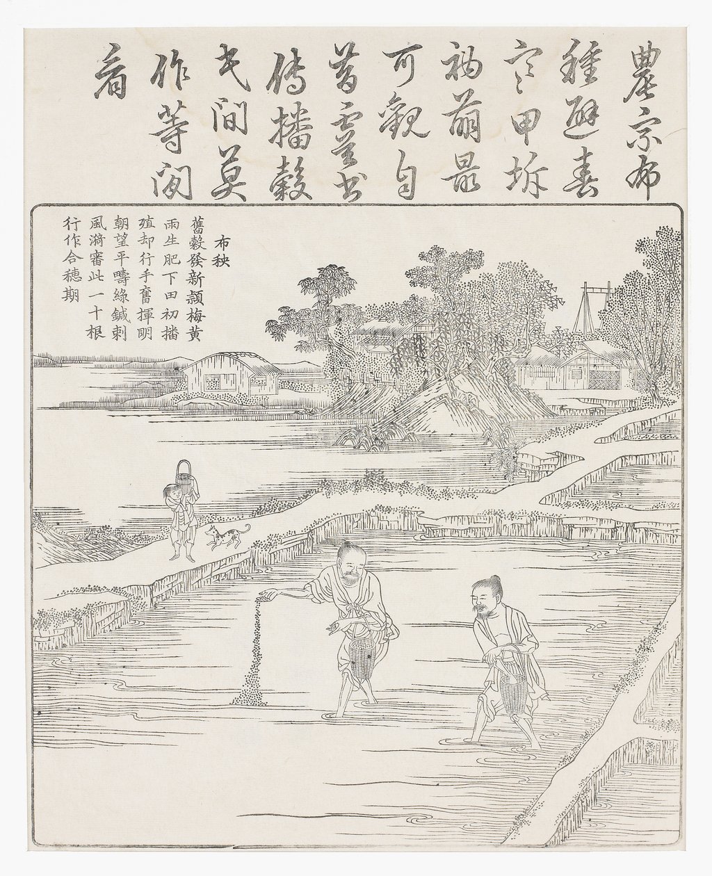Semis du riz dans une pépinière, 18ème siècle - Chinese School