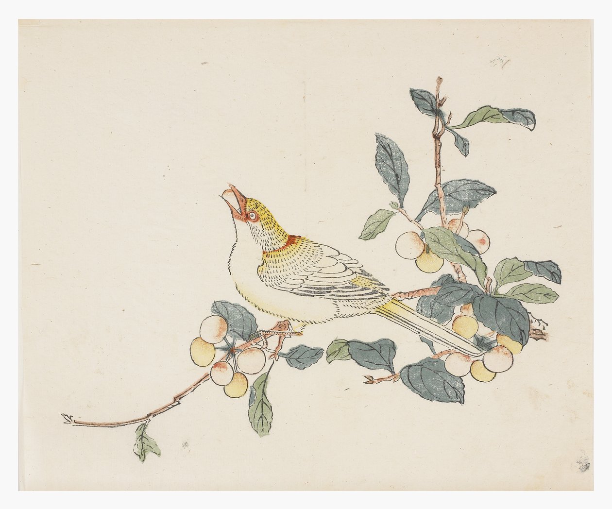 Série des Dix Bambous, XVIIIe siècle - Chinese School