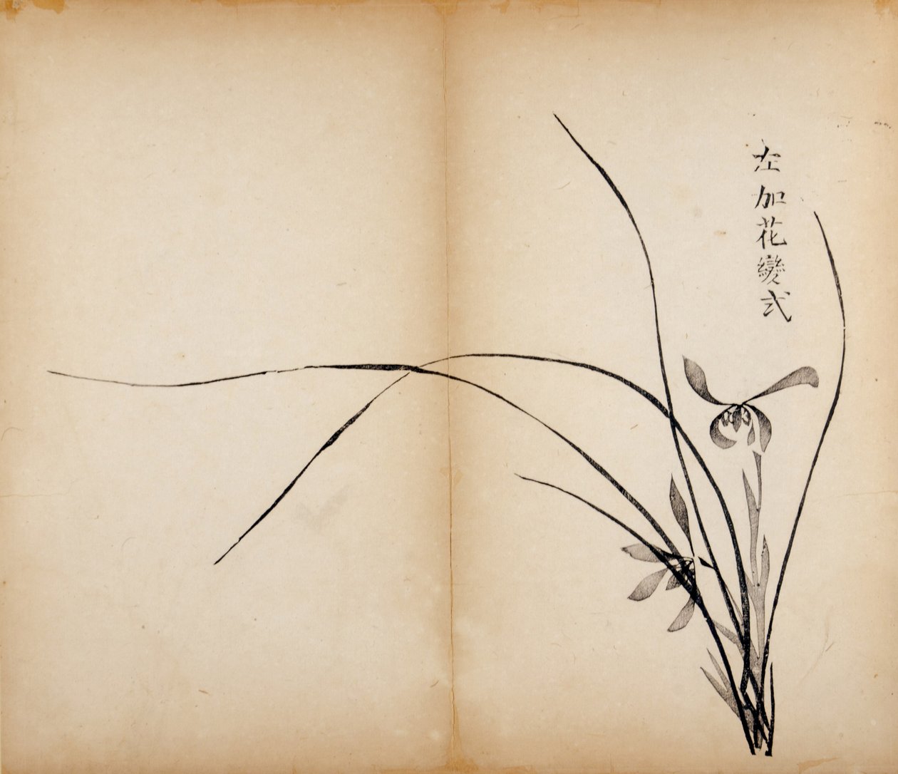 Impressions du Studio des Dix Bambous, 1643 - Chinese School