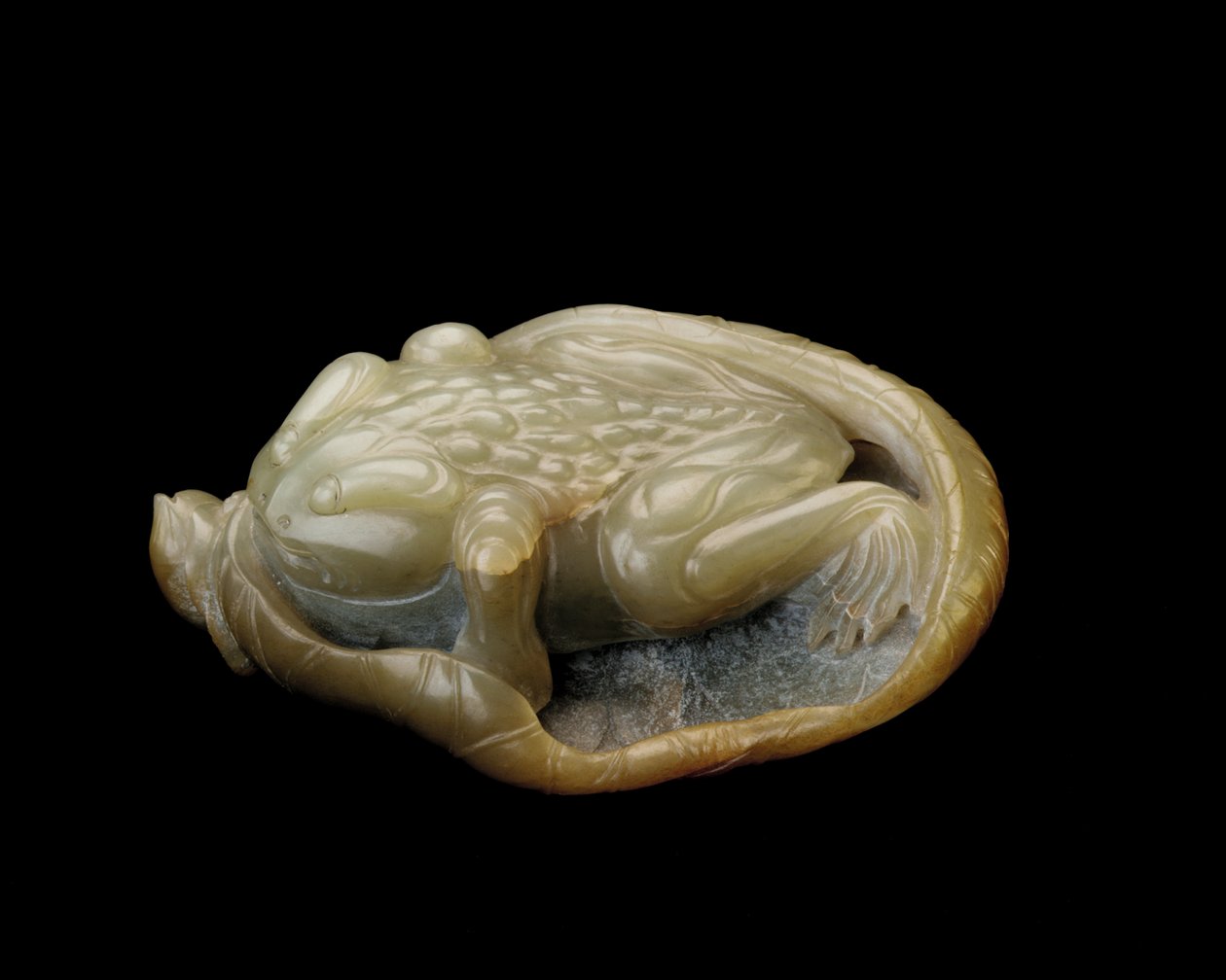Crapaud sur une feuille de lotus, 1500-1700 - Chinese School