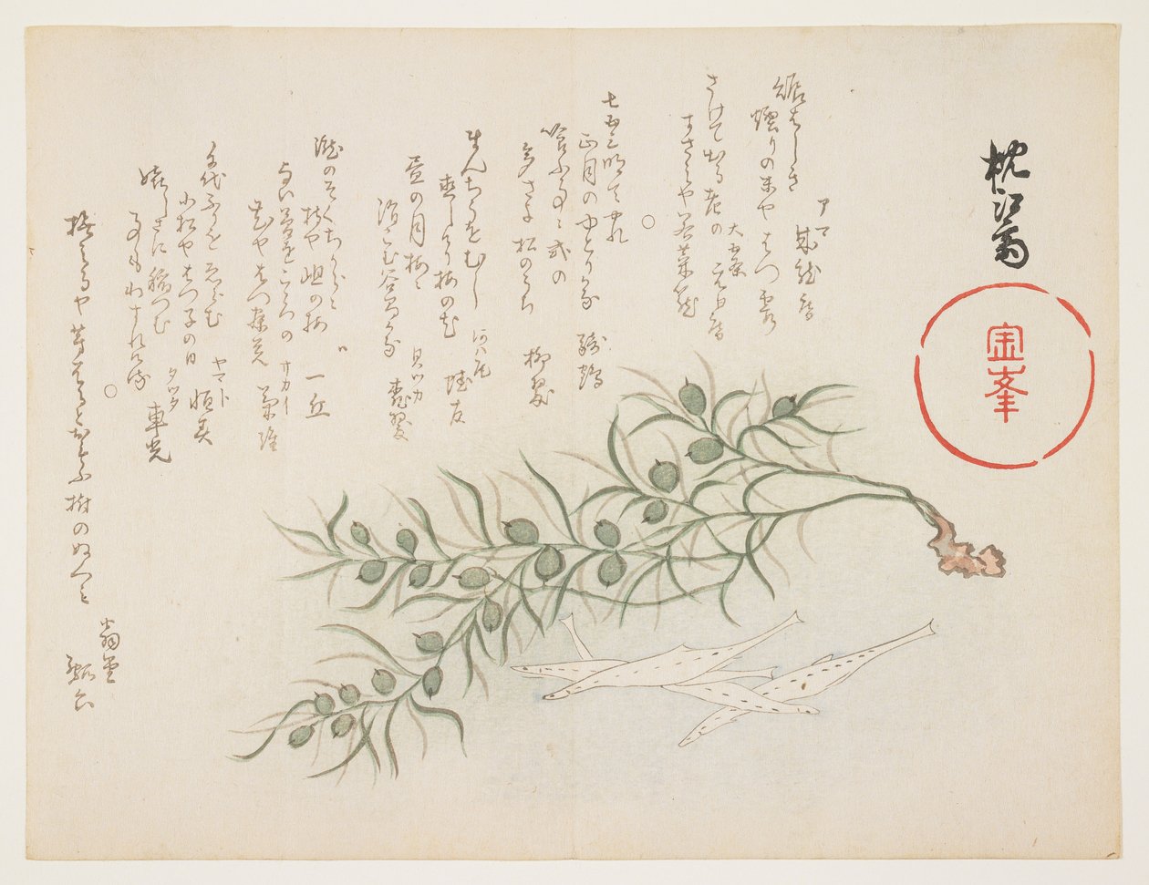 Petit poisson blanc et herbe aquatique, vers 1854-59 - Chinksai