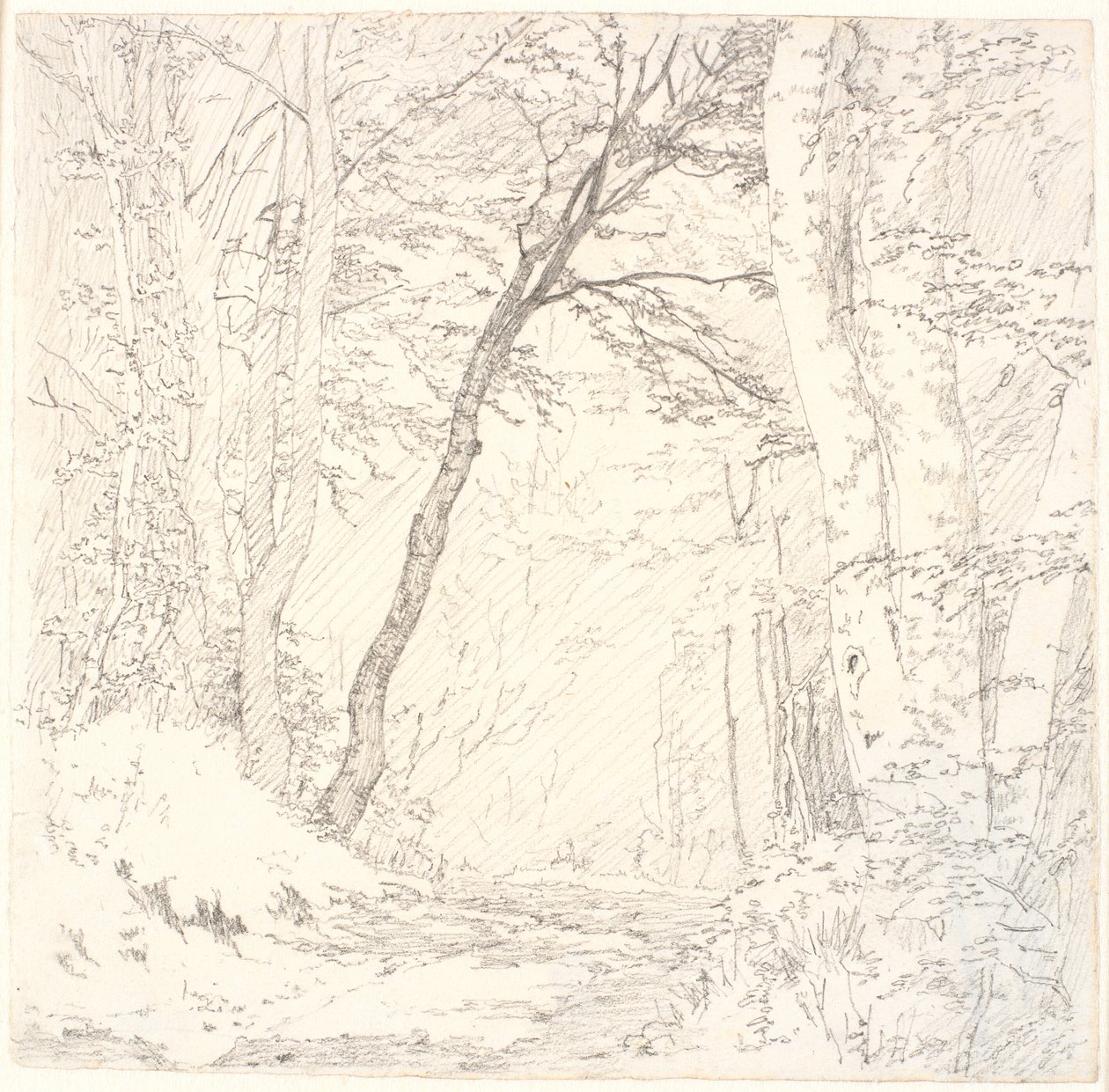 Chemin à travers une forêt - Christen Købke