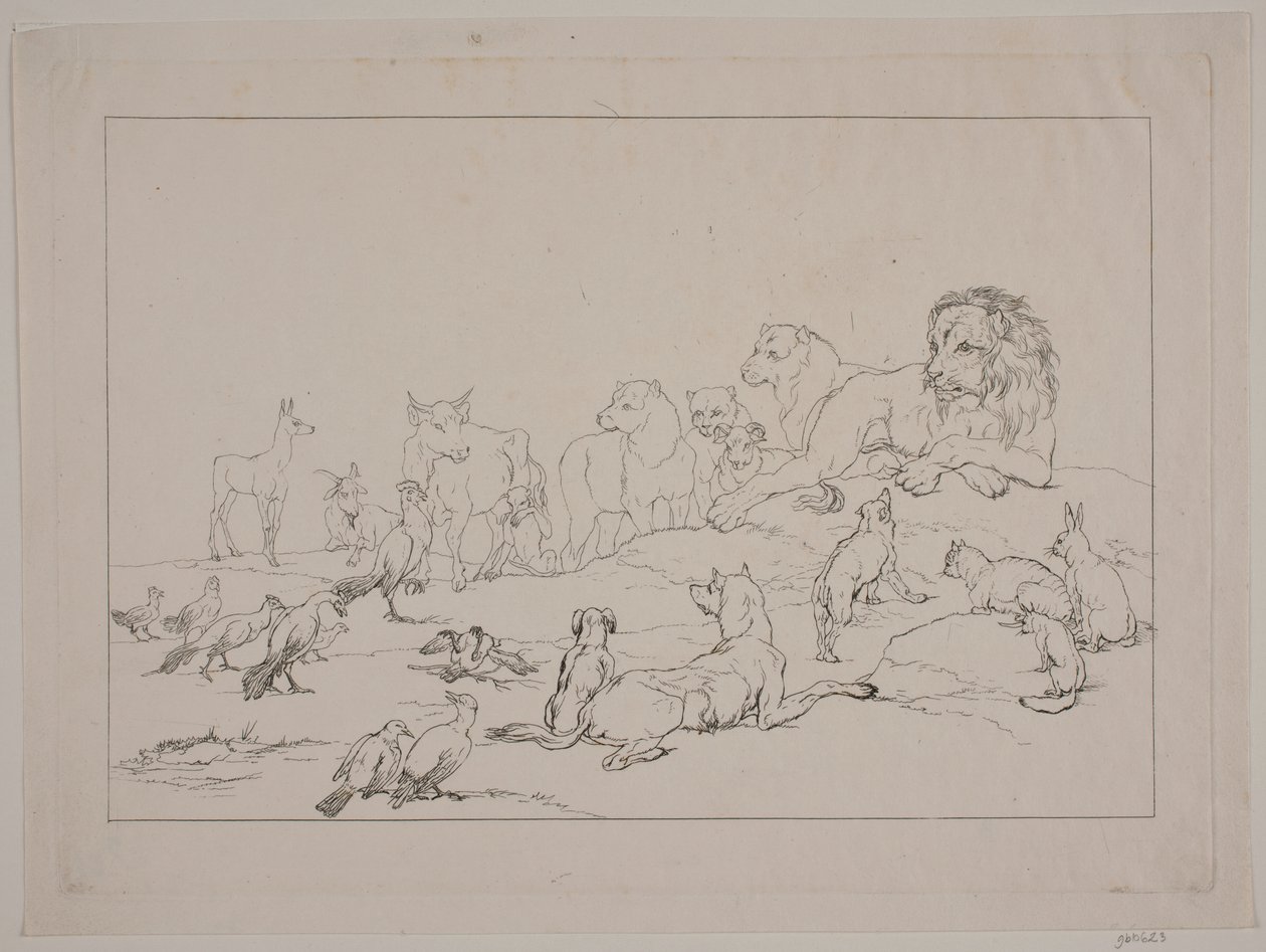 Assemblée des animaux. Illustration de "Reinike Fuchs" - Christian David Gebauer