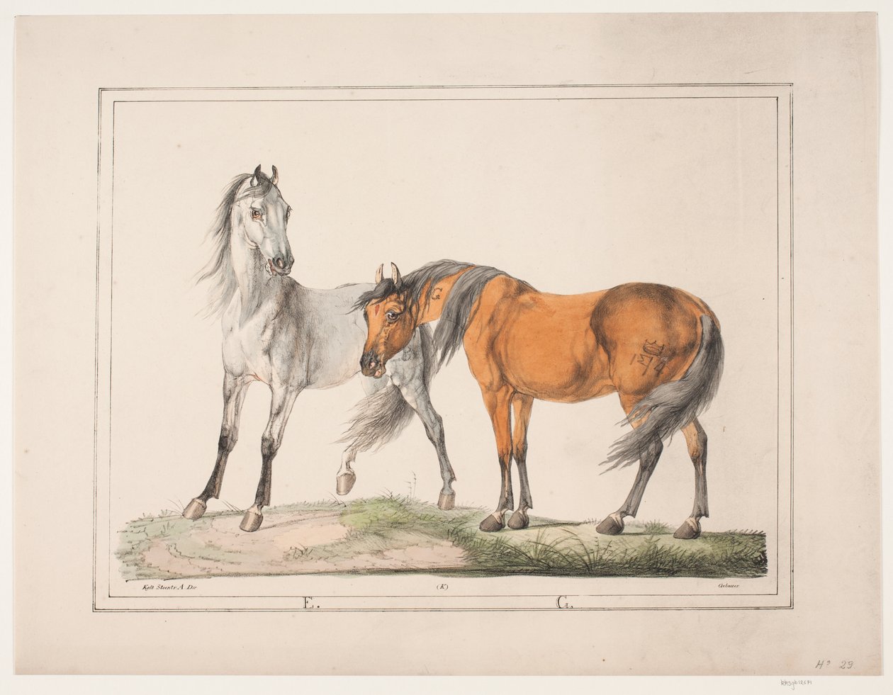 Les chevaux E & G - Christian David Gebauer