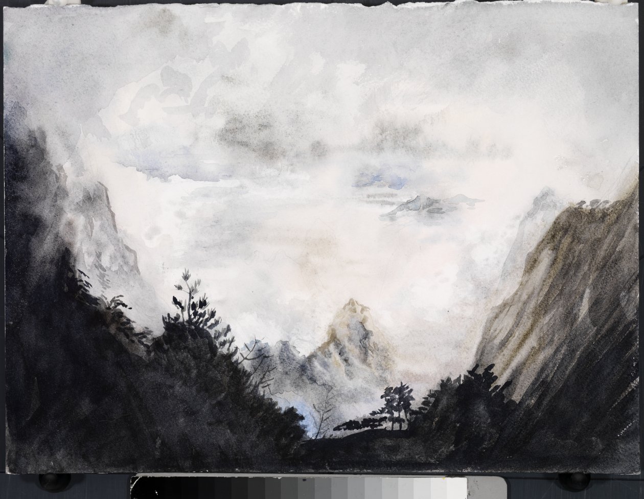 Terre des Immortels, 2015 - Christian Furr