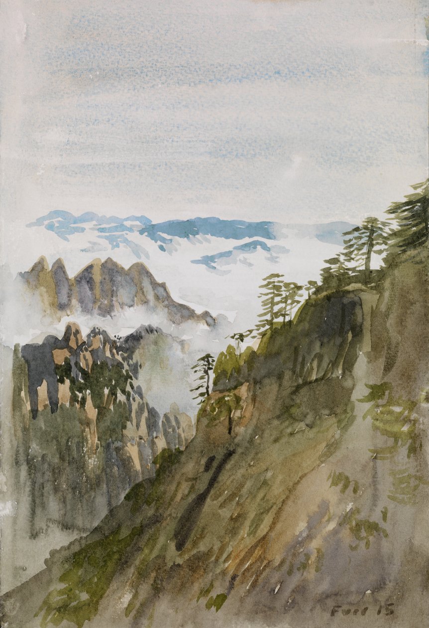 Pins de la Montagne Jaune, Huangshan, 2015 - Christian Furr