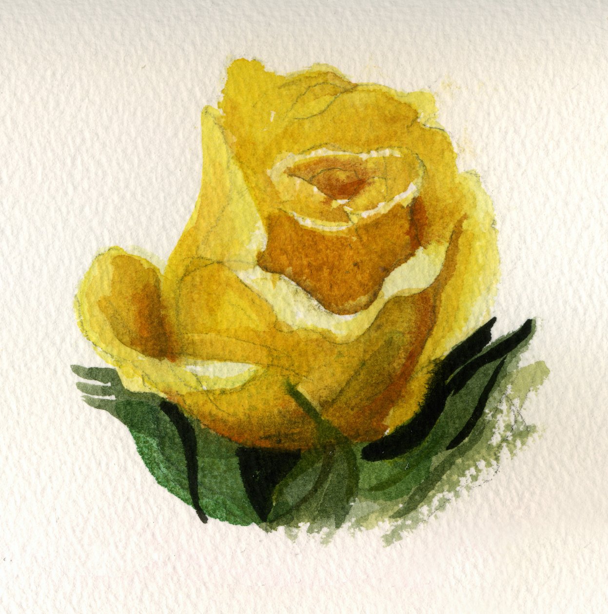 Rose jaune, 2009 (aquarelle sur papier) - Christian Furr