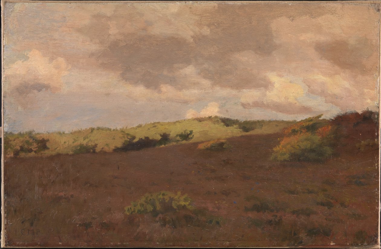 Paysage de lande. Automne - Christian Mourier Petersen