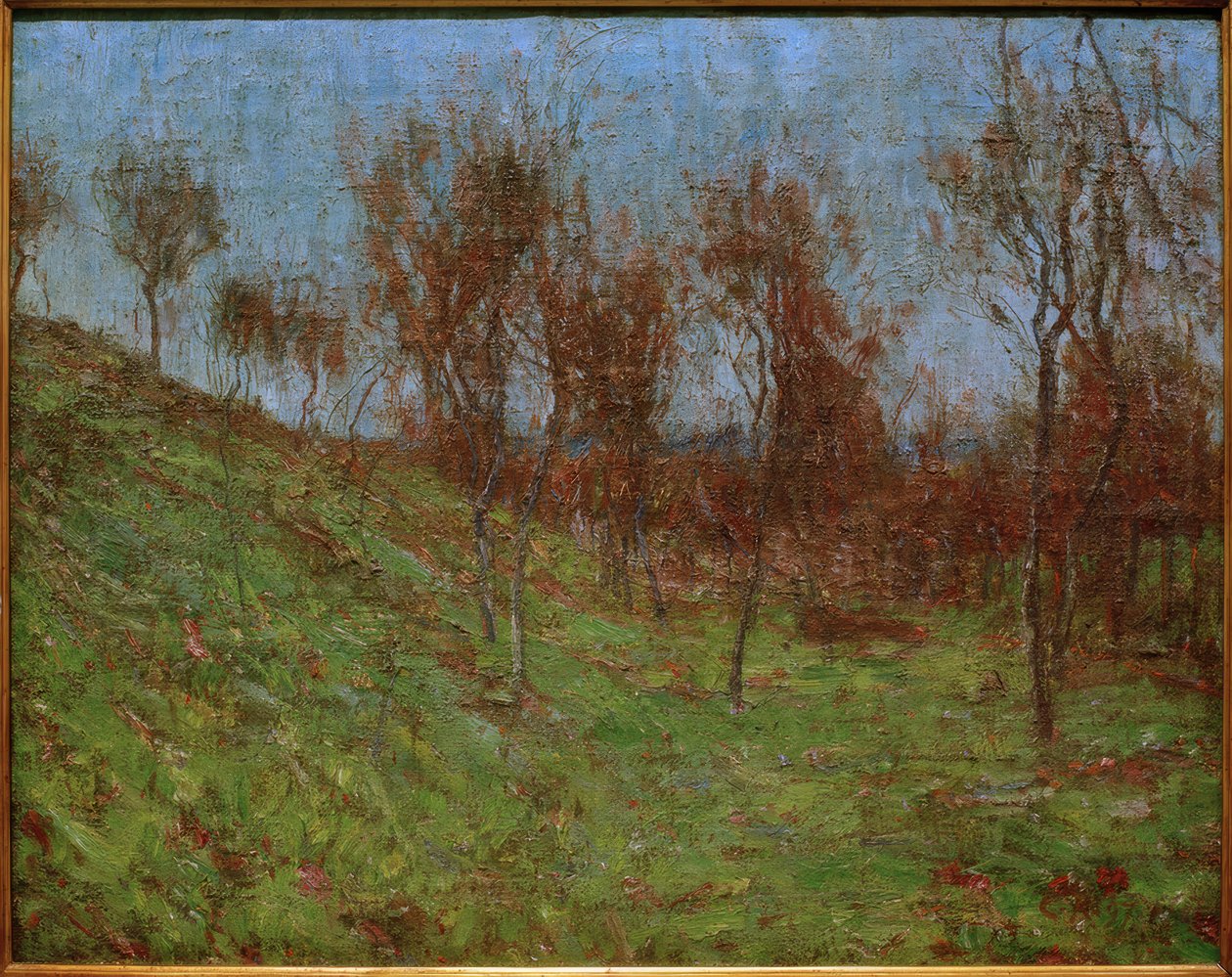 Pente de prairie - Christian Rohlfs