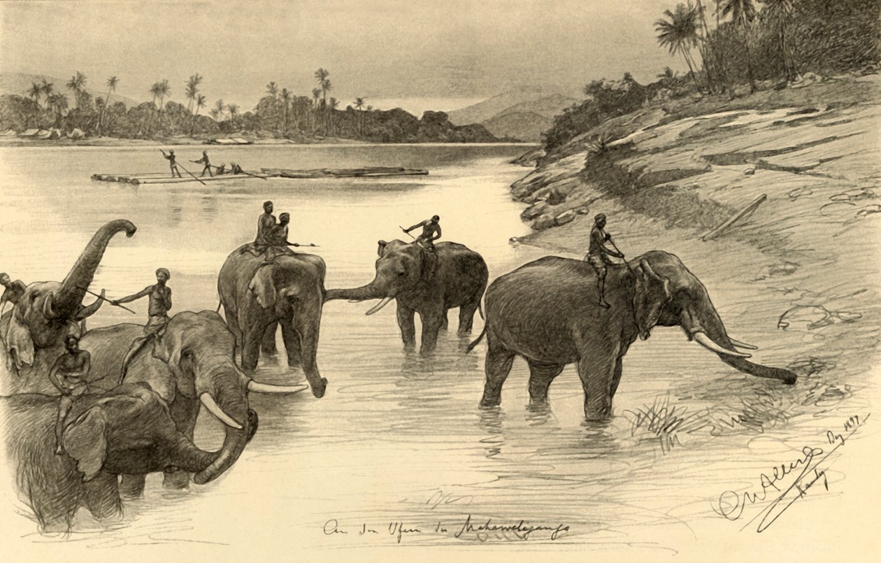 Éléphants sur les rives de la rivière Mahaweli, Ceylan, 1898 - Christian Wilhelm Allers