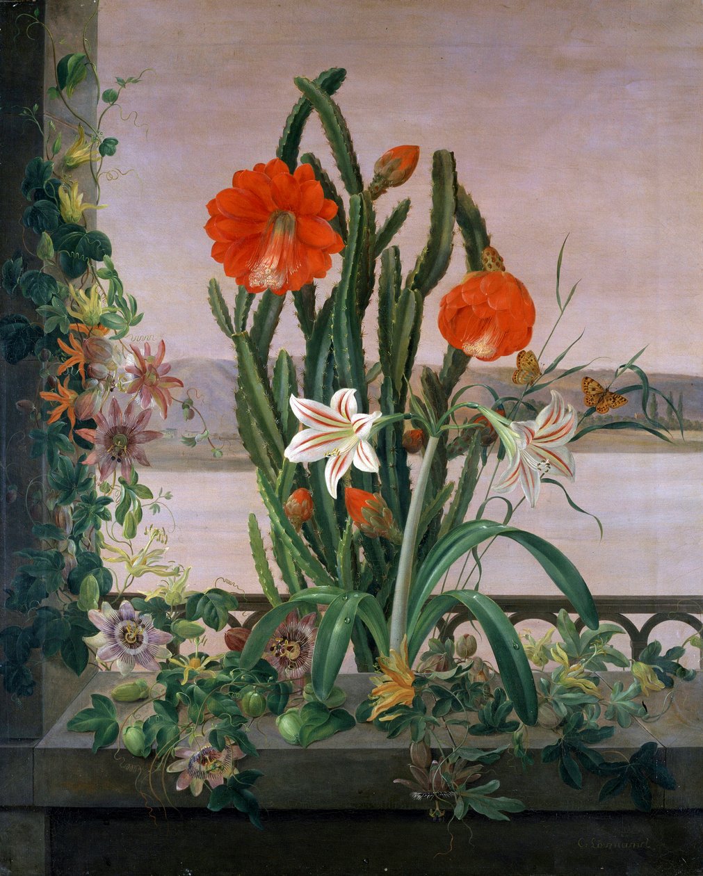 Nature morte de cactus, lys et passiflores sur le rebord de la fenetre. Peinture de Christine Marie Lovmand (1803-1872). Collection privee. - Christine Lovmand