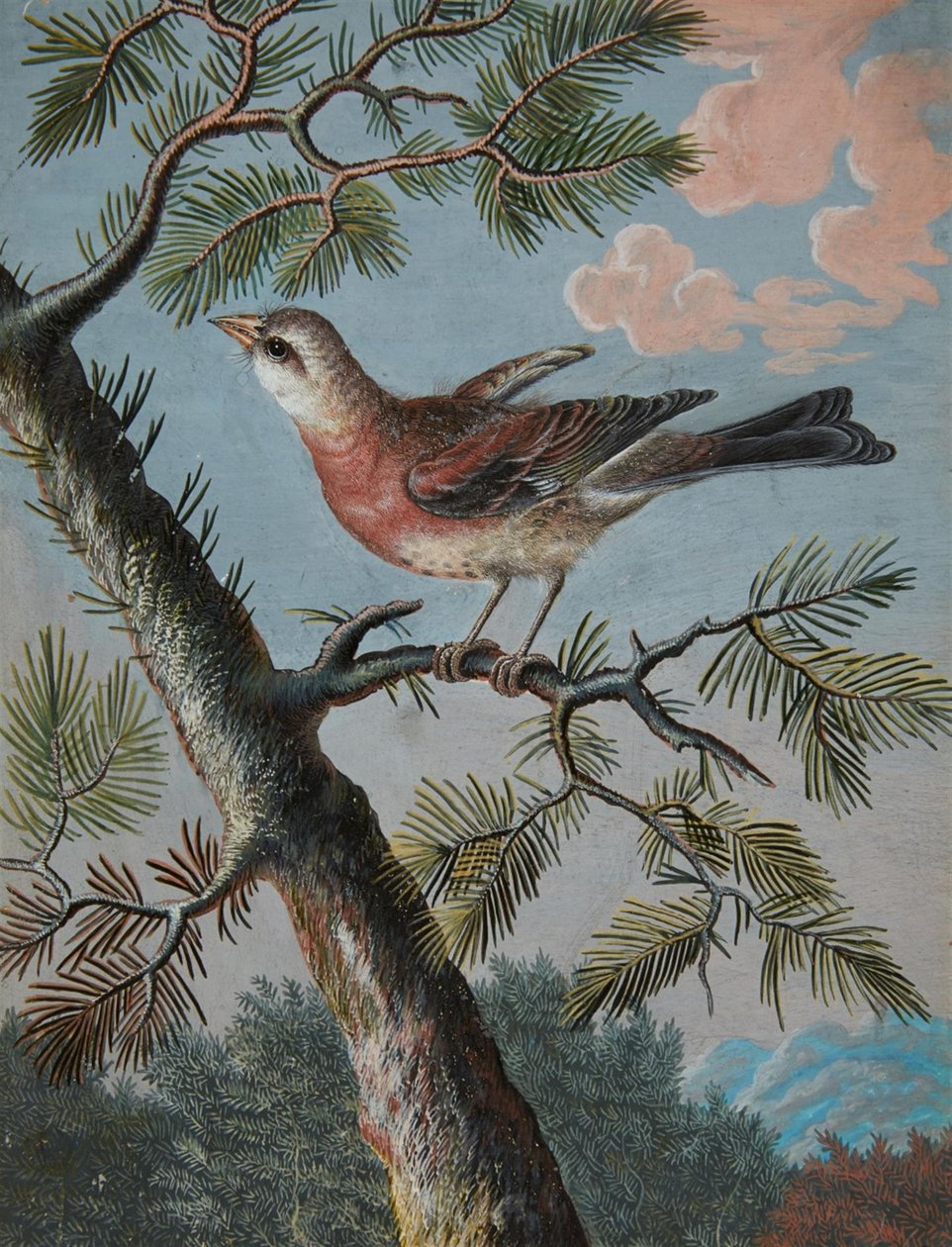 Oiseau chanteur dans un arbre à feuilles persistantes - Christoph Ludwig Agricola