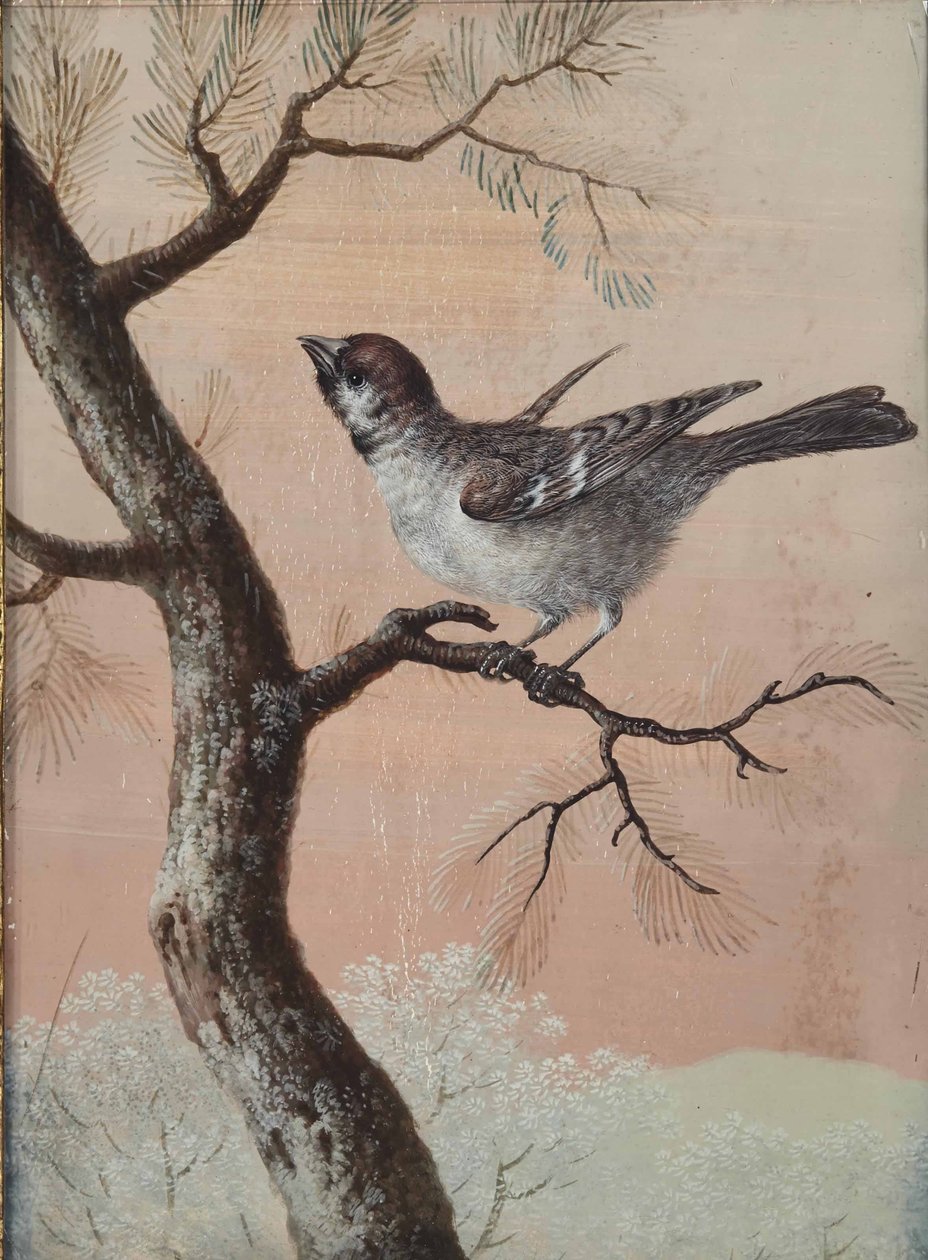 Mésange sur une branche - Christoph Ludwig Agricola