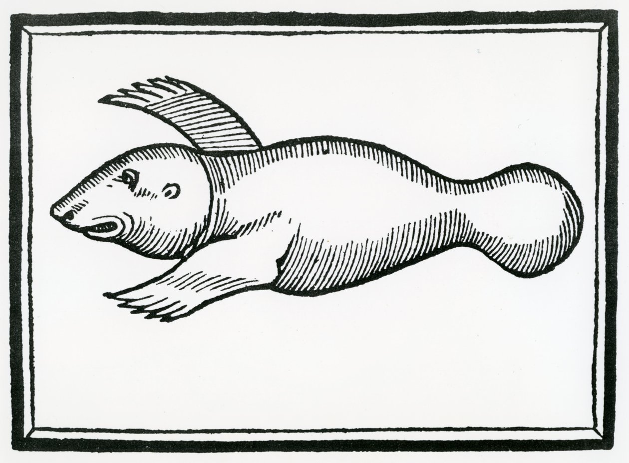 Un poisson appelé 