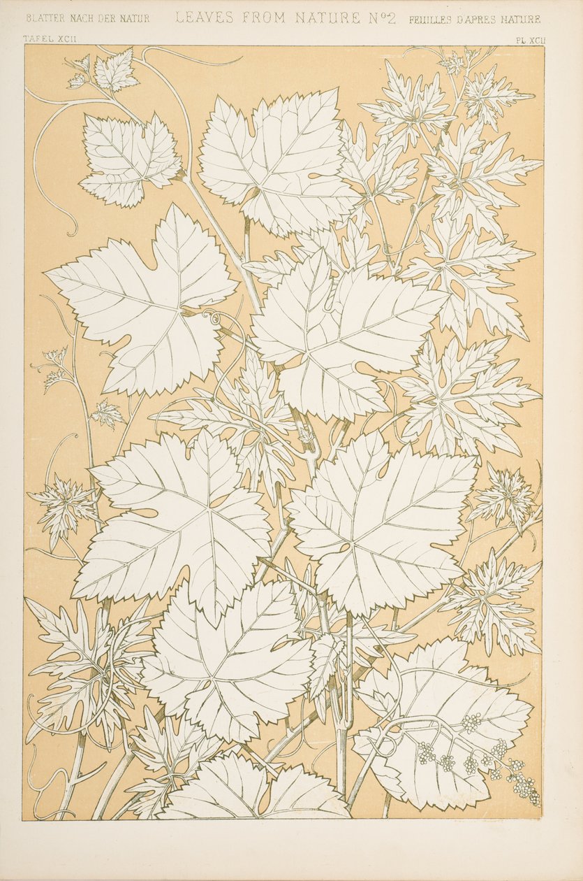 Feuilles de la nature, 1868 - Christopher Dresser