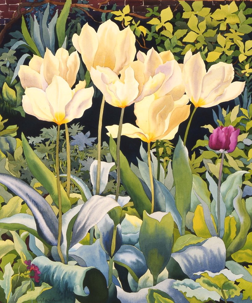 Tulipes pâles - Christopher Ryland