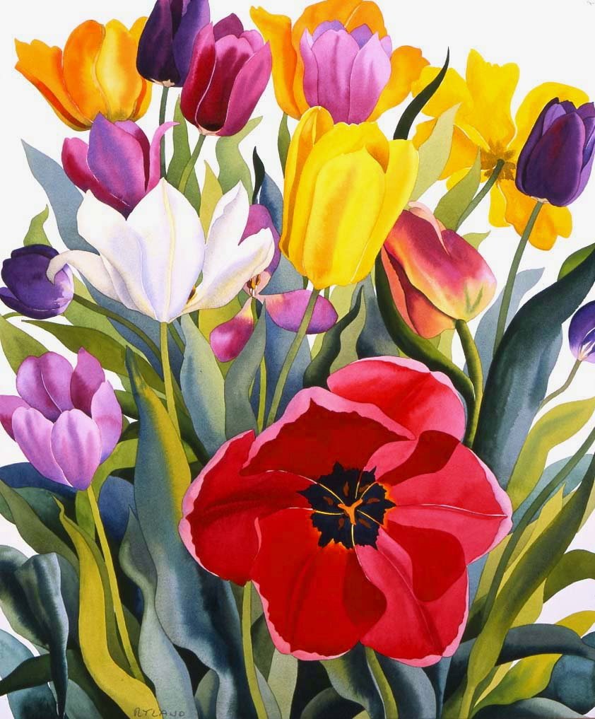 Tulipes, 2007 - Christopher Ryland