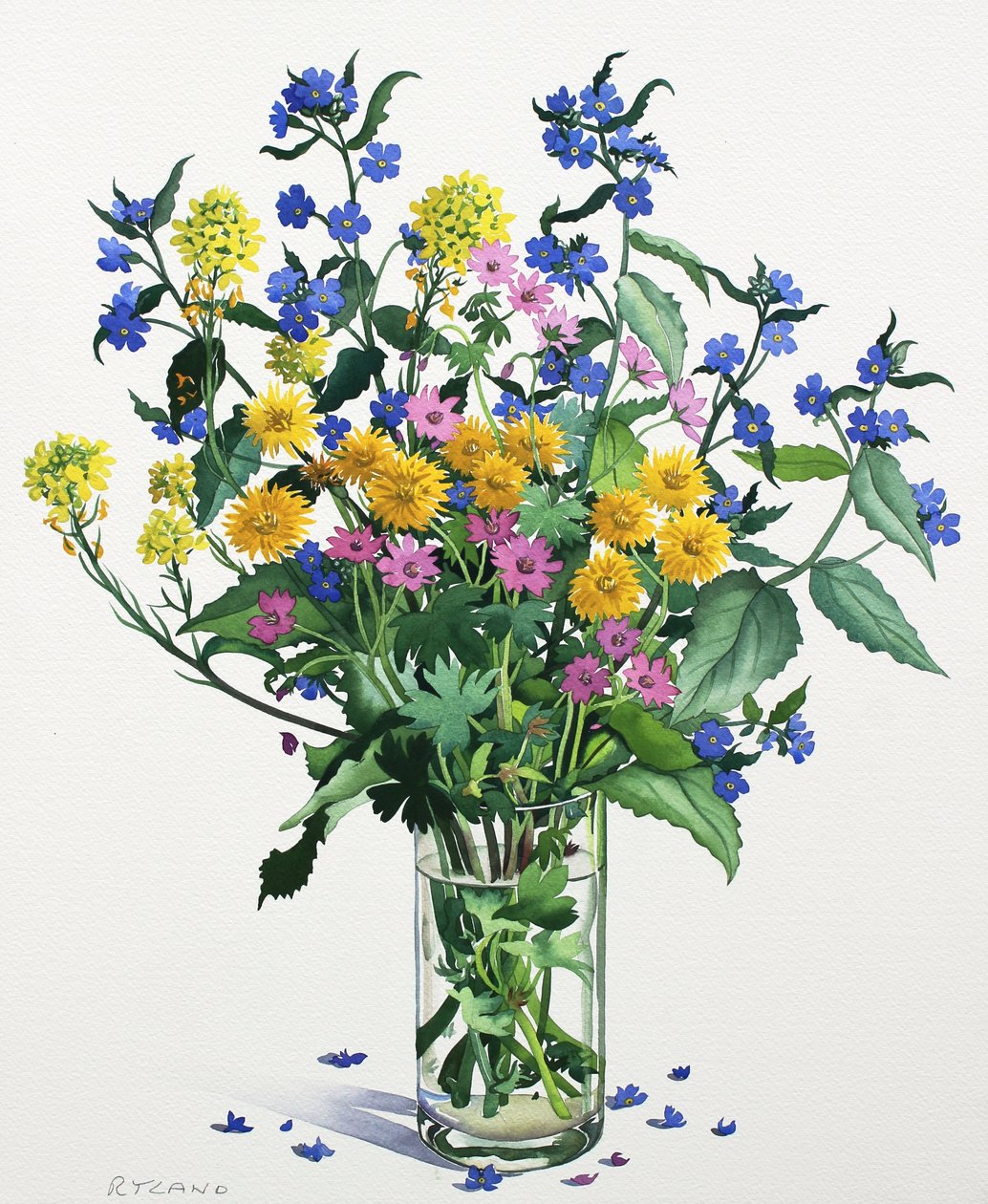Fleurs sauvages avec Alkanet, 2021 - Christopher Ryland