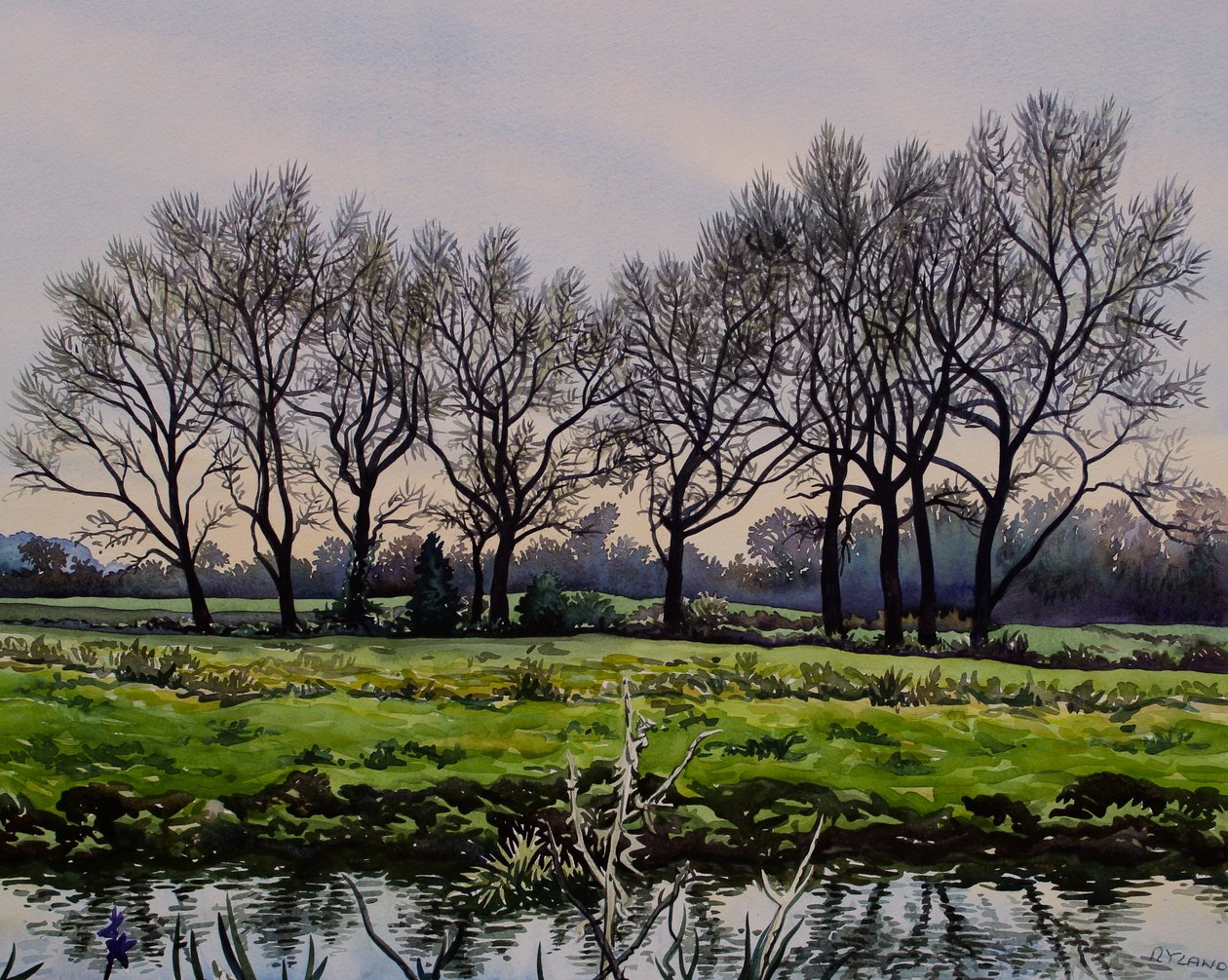 Arbres d