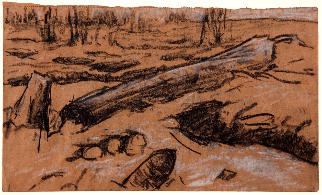 Un arbre tombé - Christopher Williams