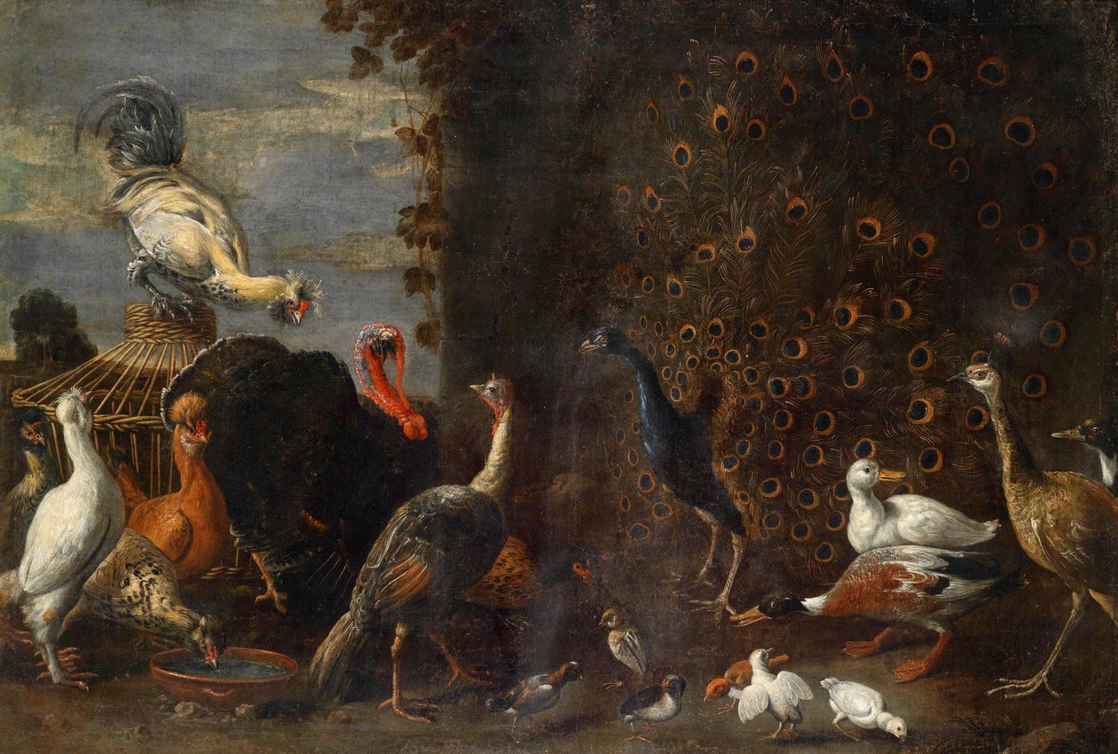 Cour de poules avec paon, dinde et canards - Circle of Adriaen van Utrecht