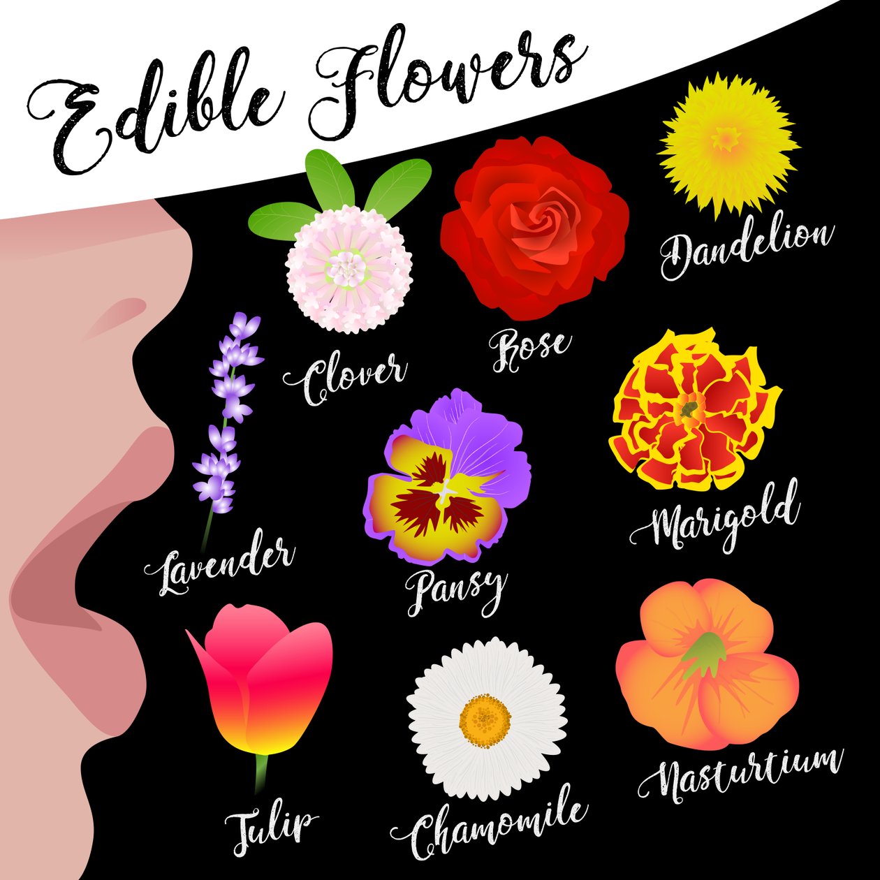 Fleurs comestibles - Claire Huntley