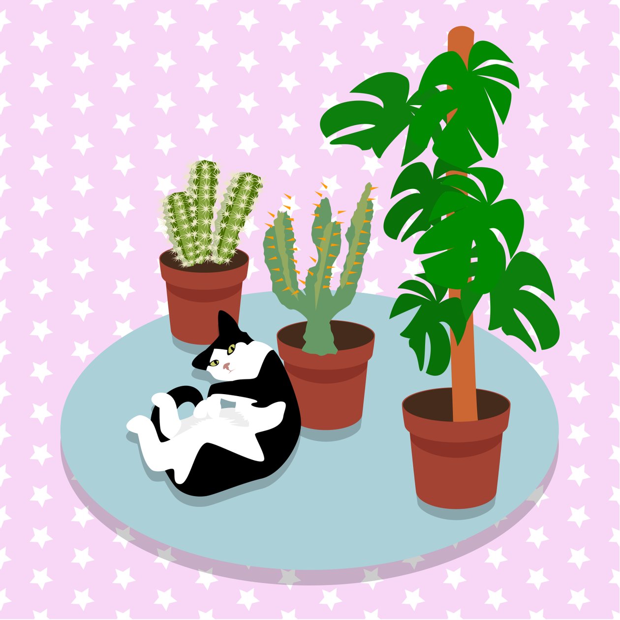 Le chat et les cactus - Claire Huntley