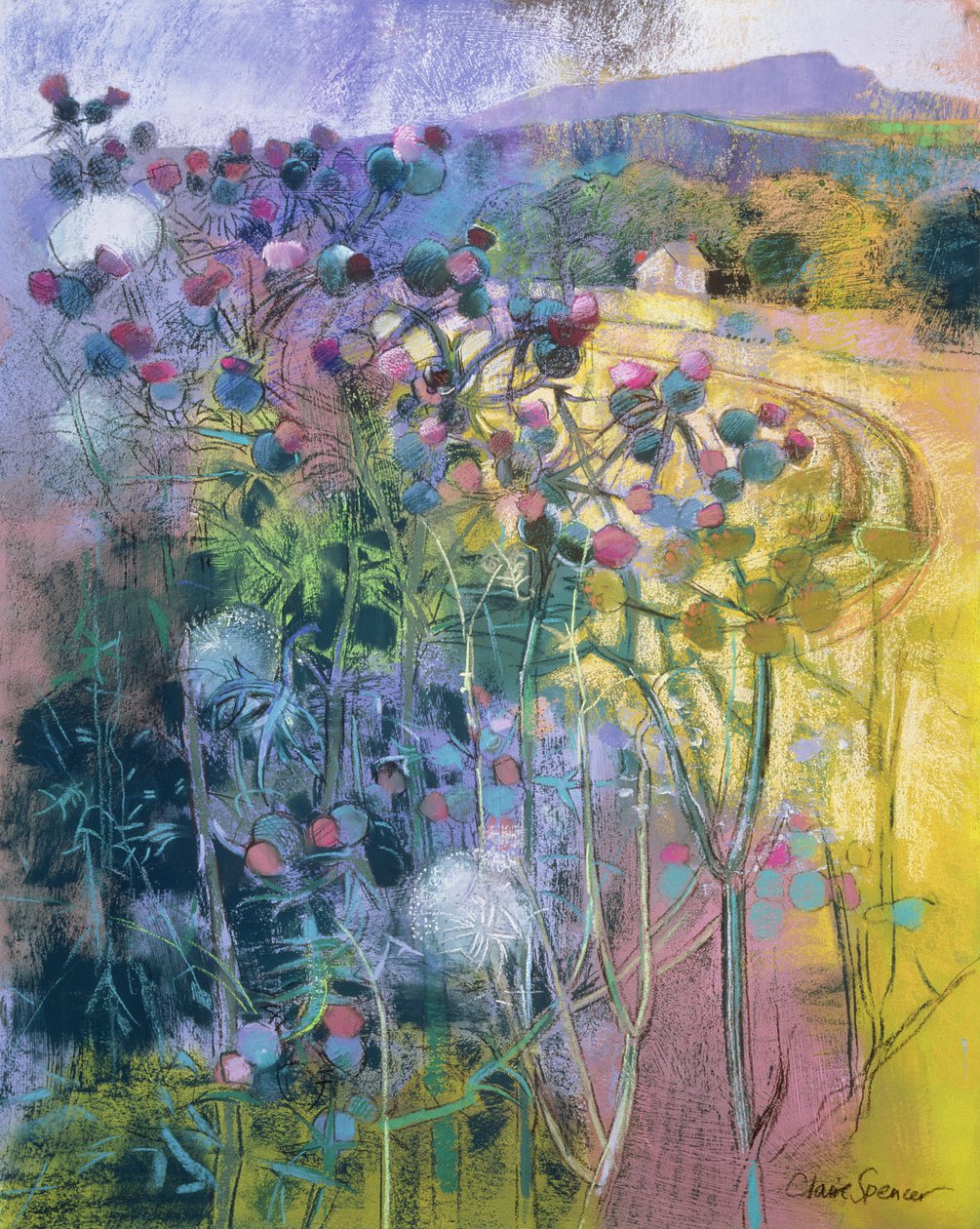 La beauté sauvage de Clee - Claire Spencer