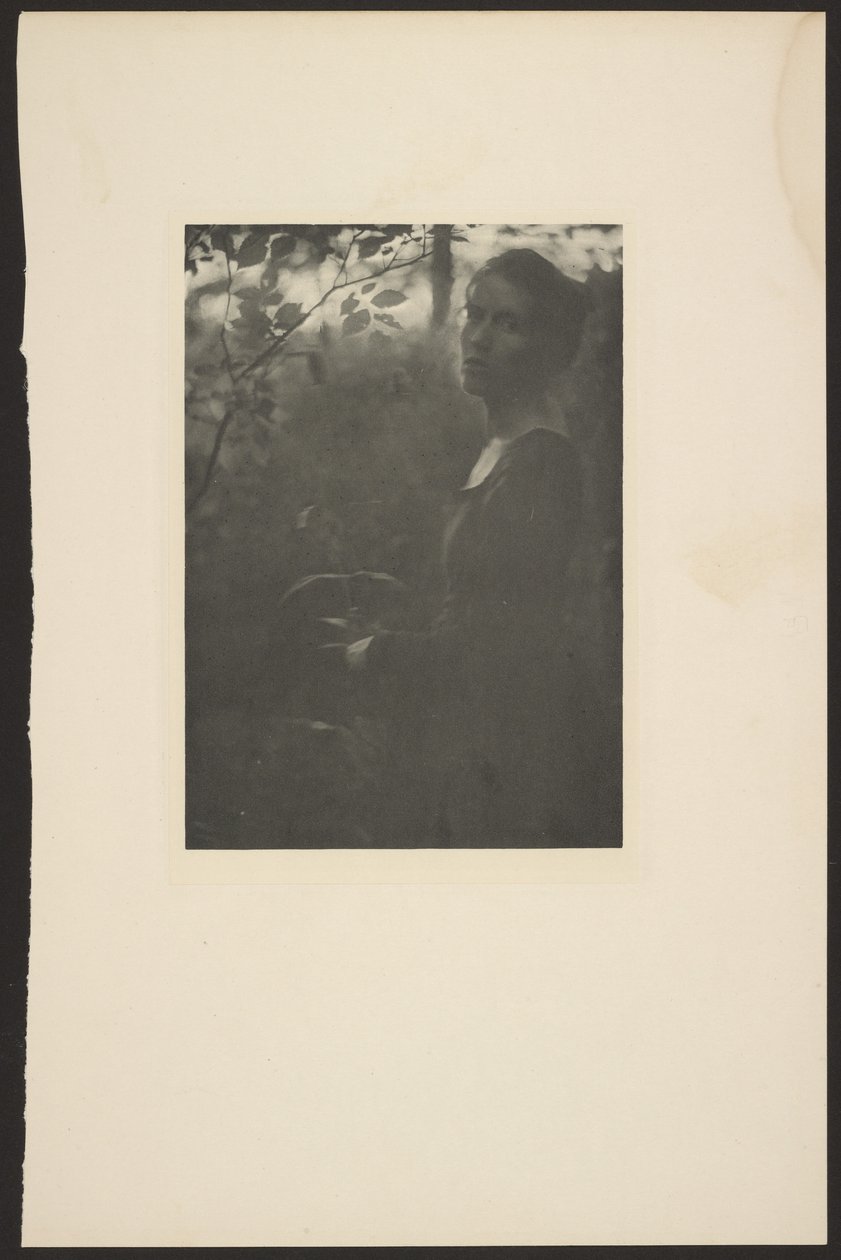 [La lisière des bois -- Soirée] - Clarence H. White