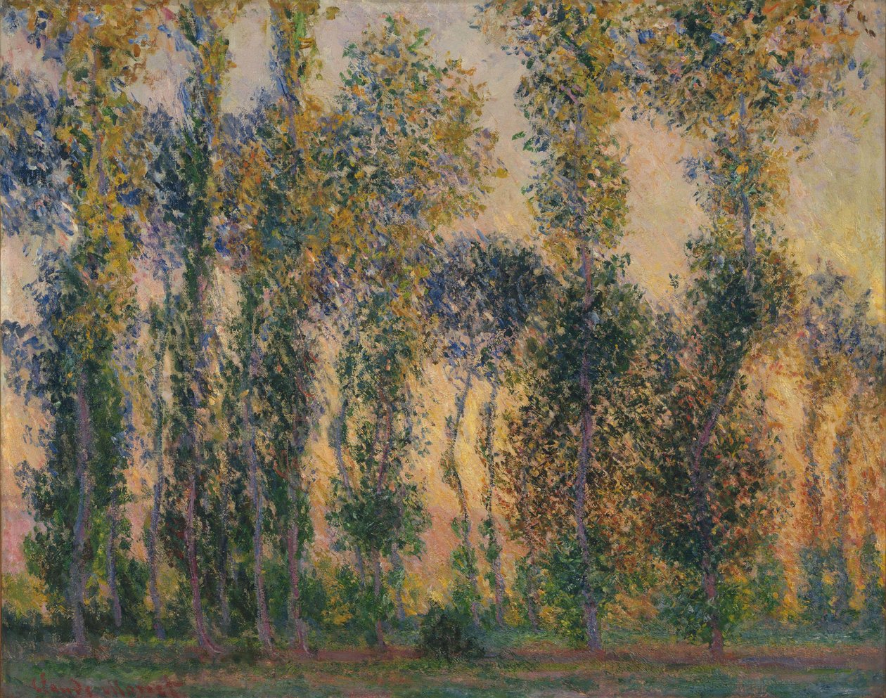 Peupliers à Giverny, Lever de soleil - Claude Monet