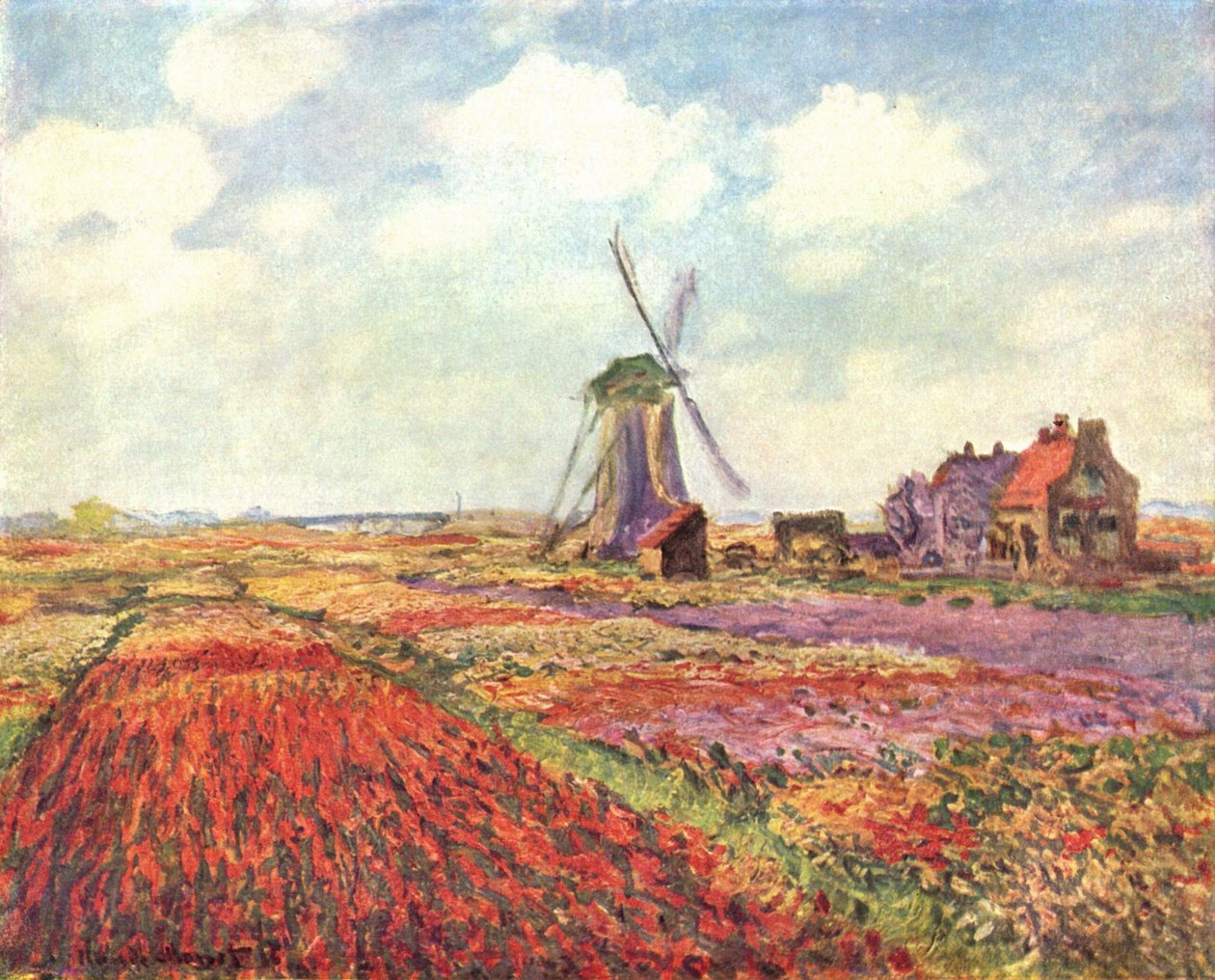 Tulipes de Hollande - Claude Monet